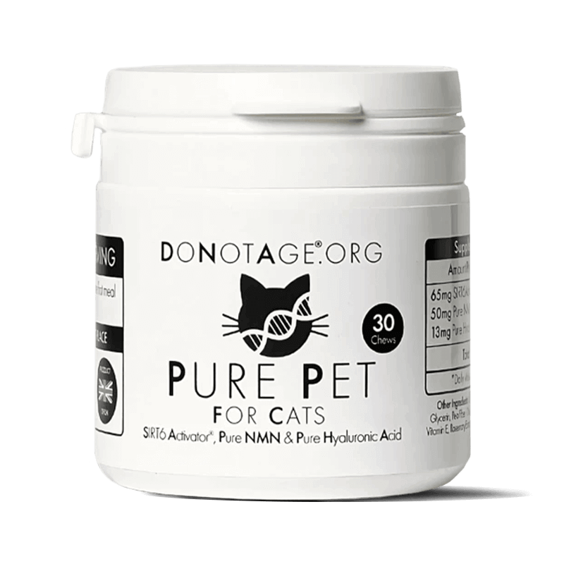 Pure Pet (Sirtuino 6 Aktyvatorius, Nikotinamido Mononukleotido, Hialurono Rūgštis) katėms DONOTAGE Pure Pet (Sirtuino 6 Aktyvatorius, Nikotinamido Mononukleotido, Hialurono Rūgštis) katėms DONOTAGE